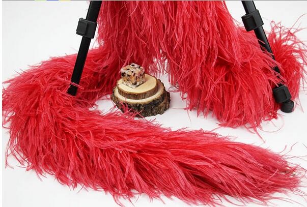 12-Ply Ostrich Feather Boa – 2 Yards | 1 Piece FeatherParadise.com