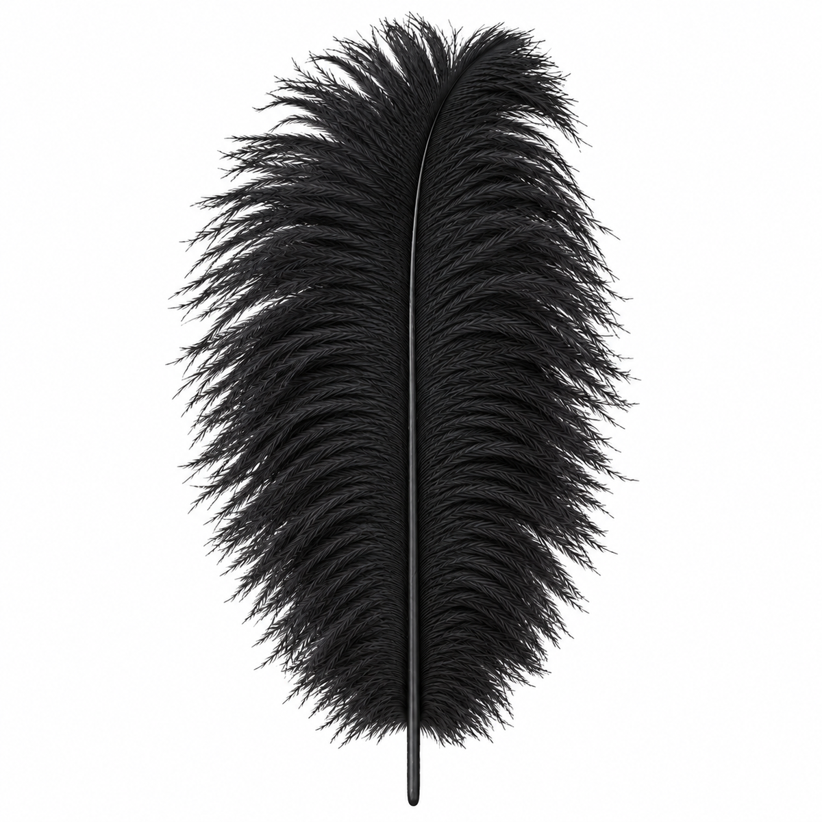 12-14 Inch Ostrich Feathers | 12 Pieces