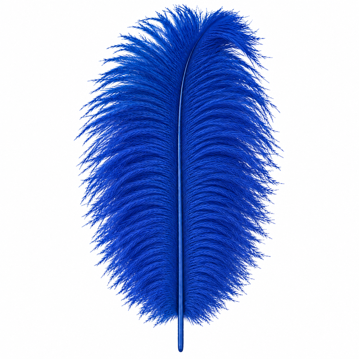 12-14 Inch Ostrich Feathers | 12 Pieces