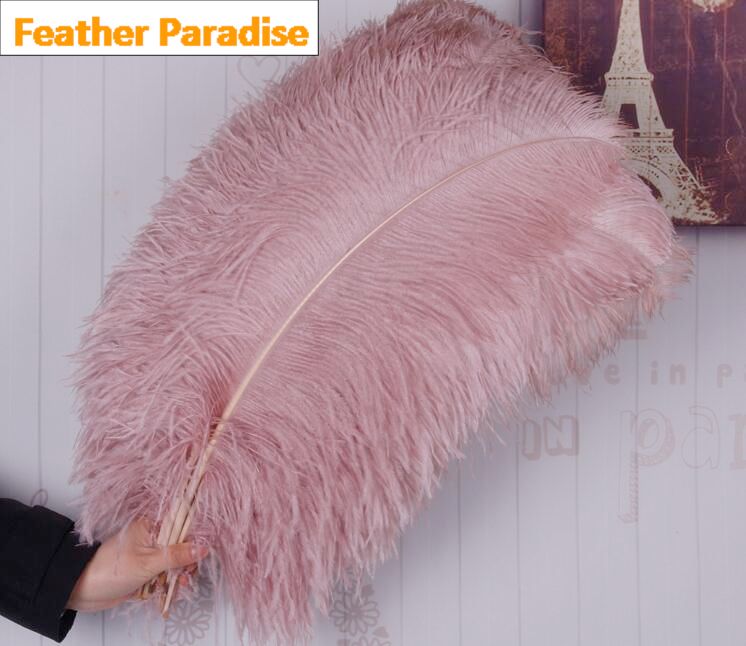 22-24 Inch Ostrich Feathers | 50 Pieces