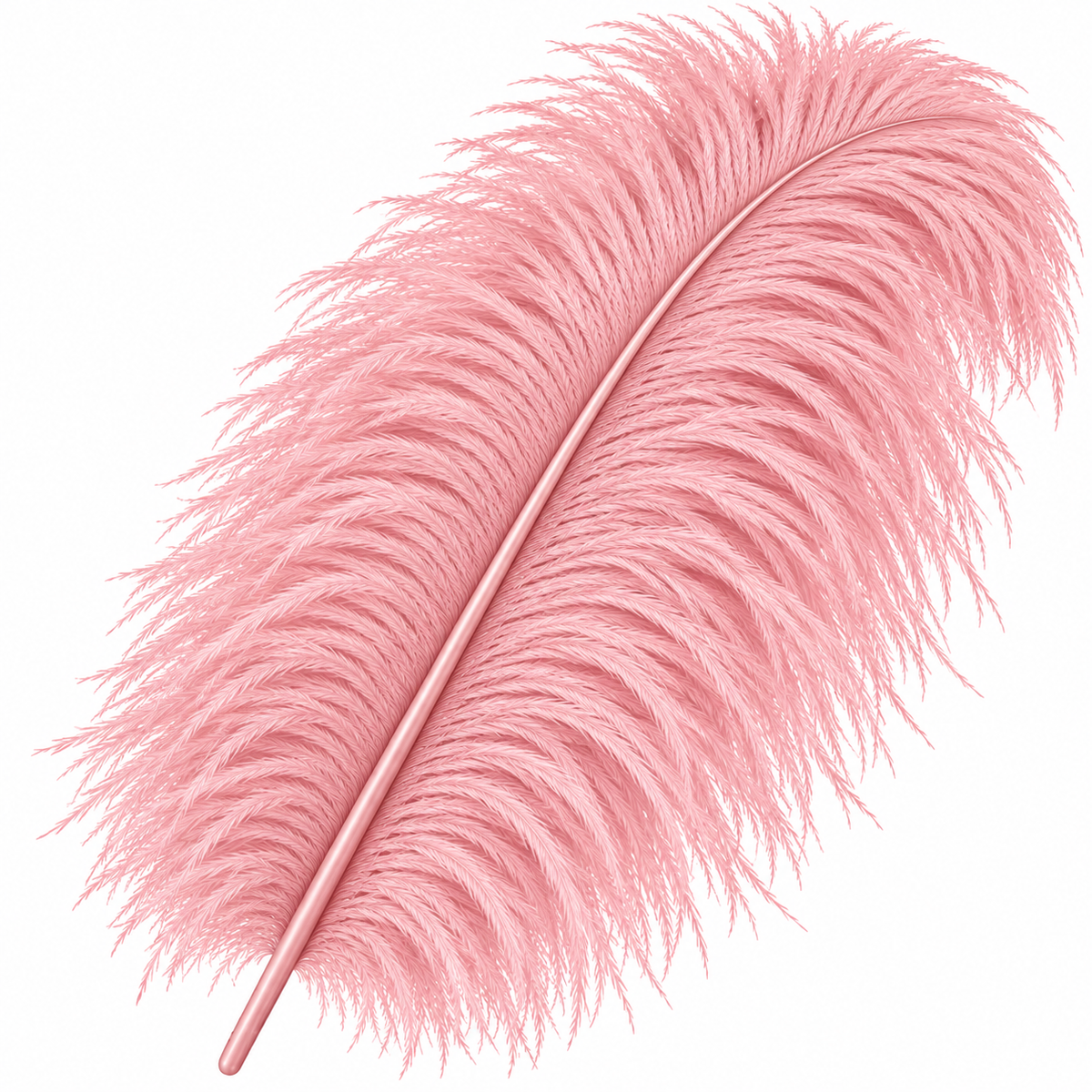 22-24 Inch Ostrich Feathers | 12 Pieces