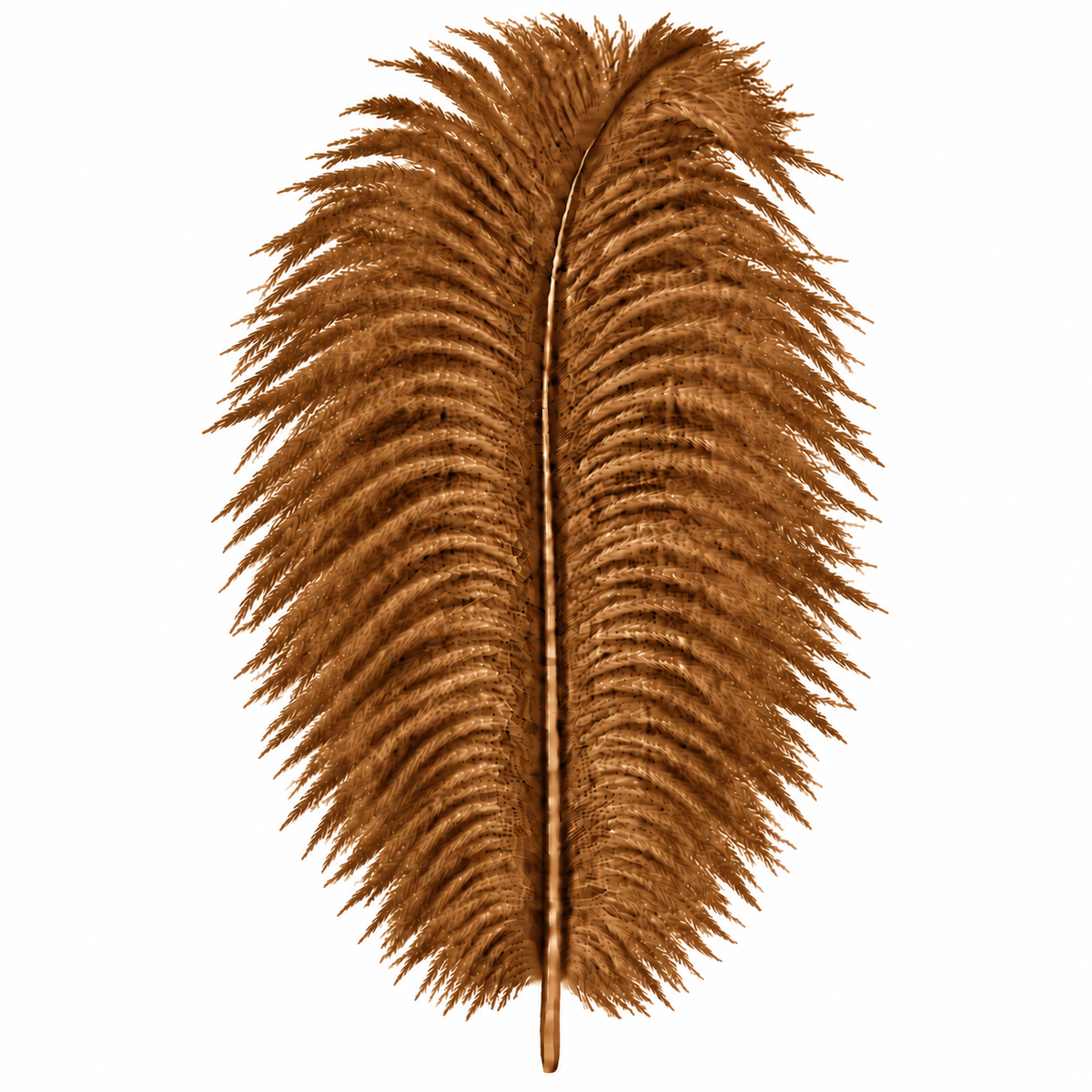 12-14 Inch Ostrich Feathers | 12 Pieces