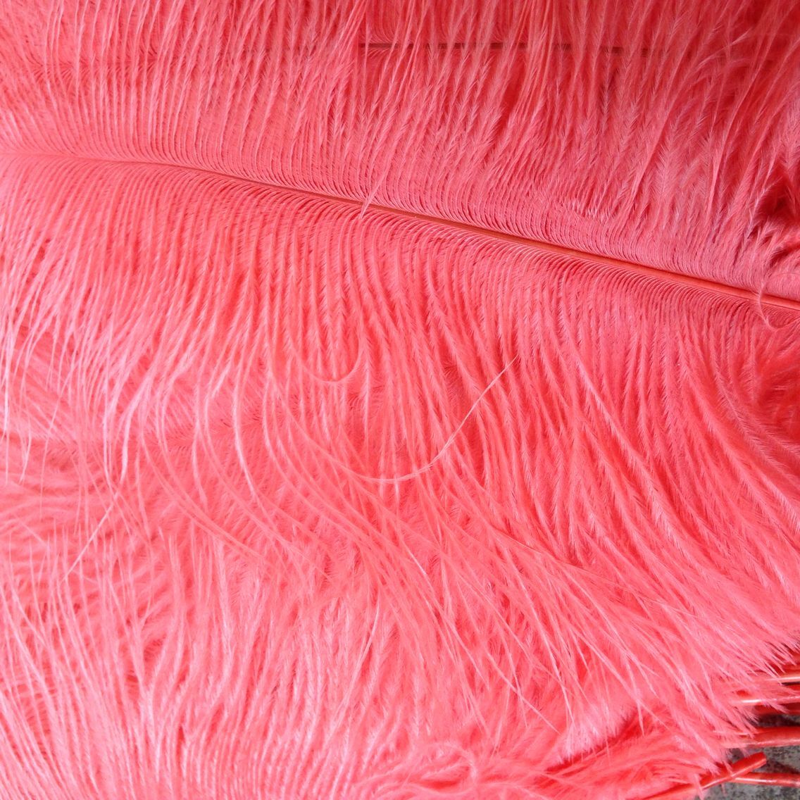 Burgundy Ostrich Feathers 16-18 Inches