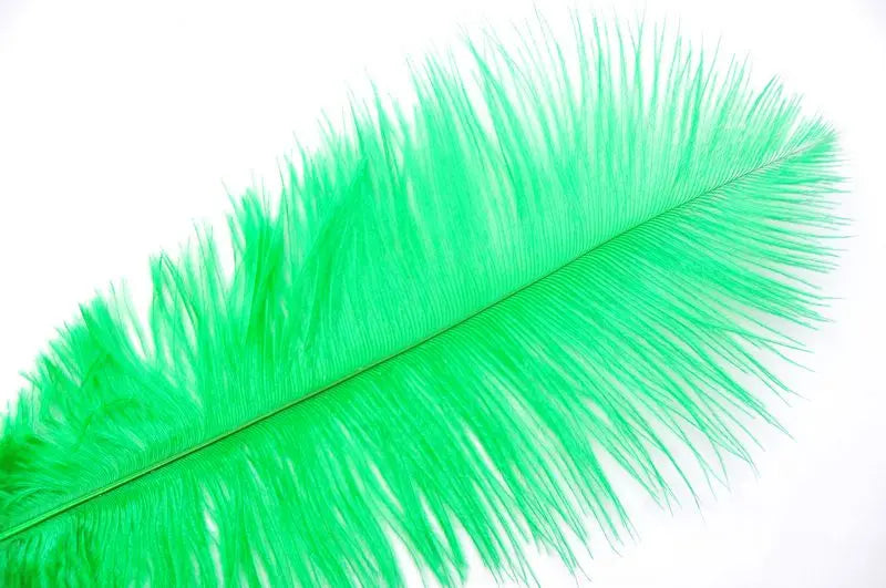 Natural 6-8 Inches Ostrich Feathers 100 Pieces