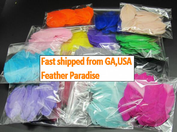 100 Pieces Goose Feather Petals Confetti FeatherParadise.com