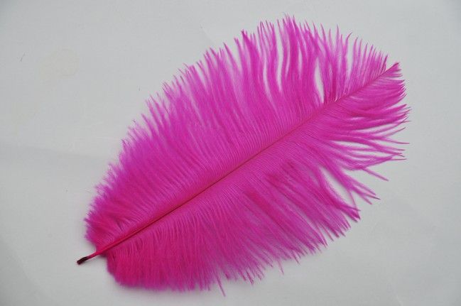 14-16 Inch Ostrich Feathers | 50 Pieces FeatherParadise.com