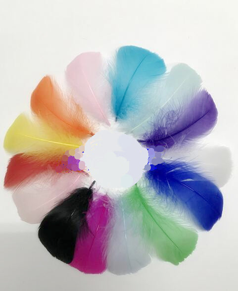 Buy 100pcs Goose Nagorie Loose Feather Fillers – 3.3–6" Feather Confetti for Crafts, DIY Projects, Fly Tying & Decorations FeatherParadise.com