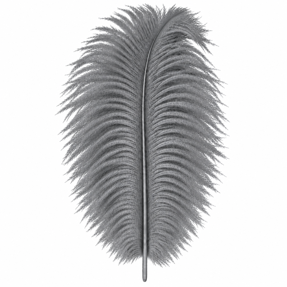 12-14 Inch Ostrich Feathers | 12 Pieces