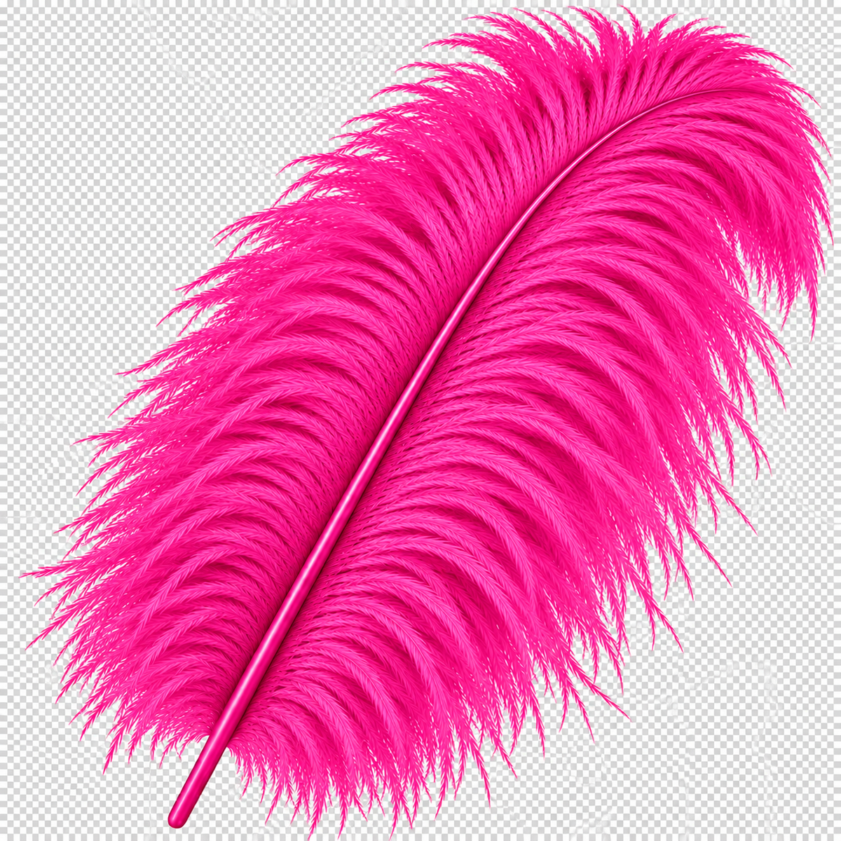22-24 Inch Ostrich Feathers | 12 Pieces