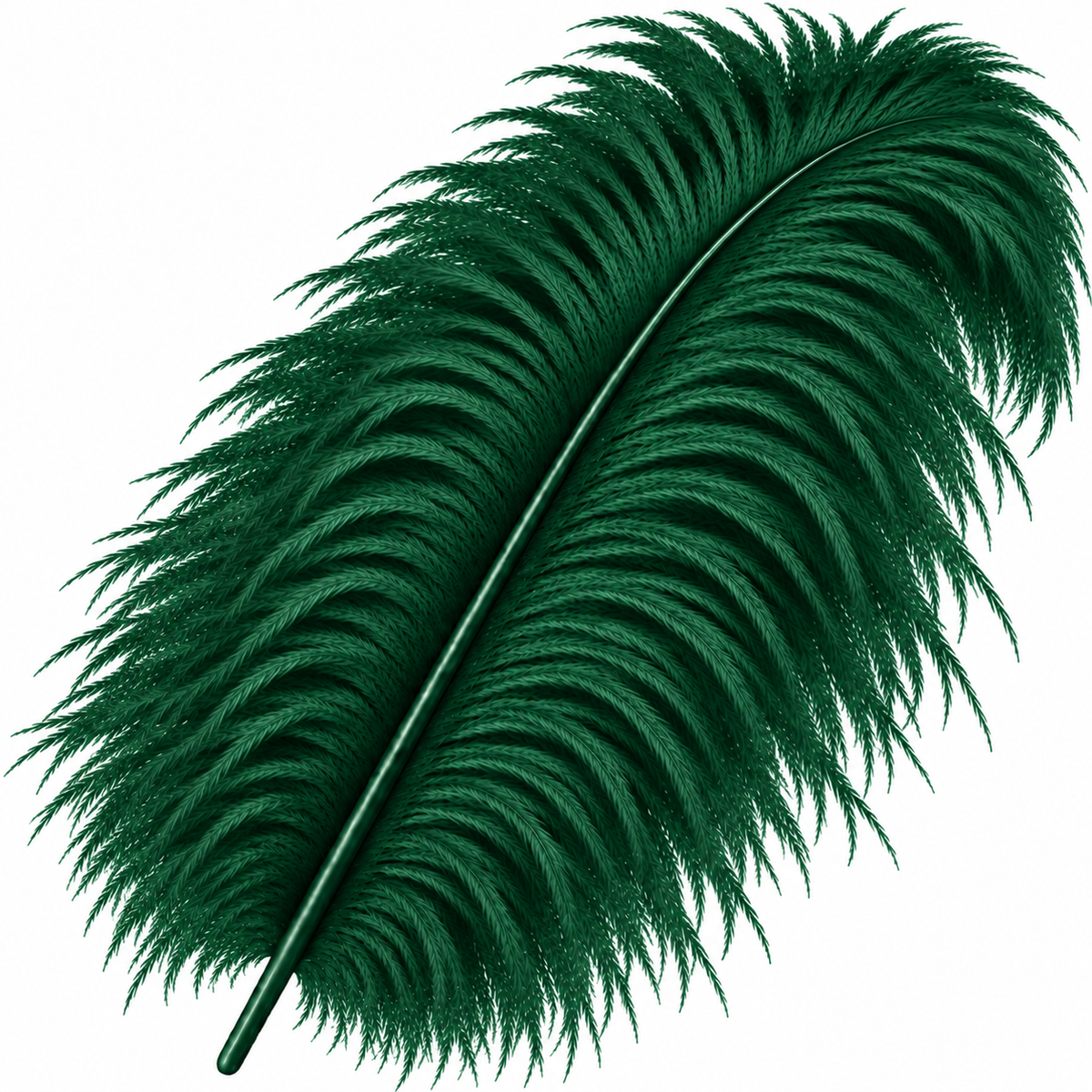 22-24 Inch Ostrich Feathers | 12 Pieces
