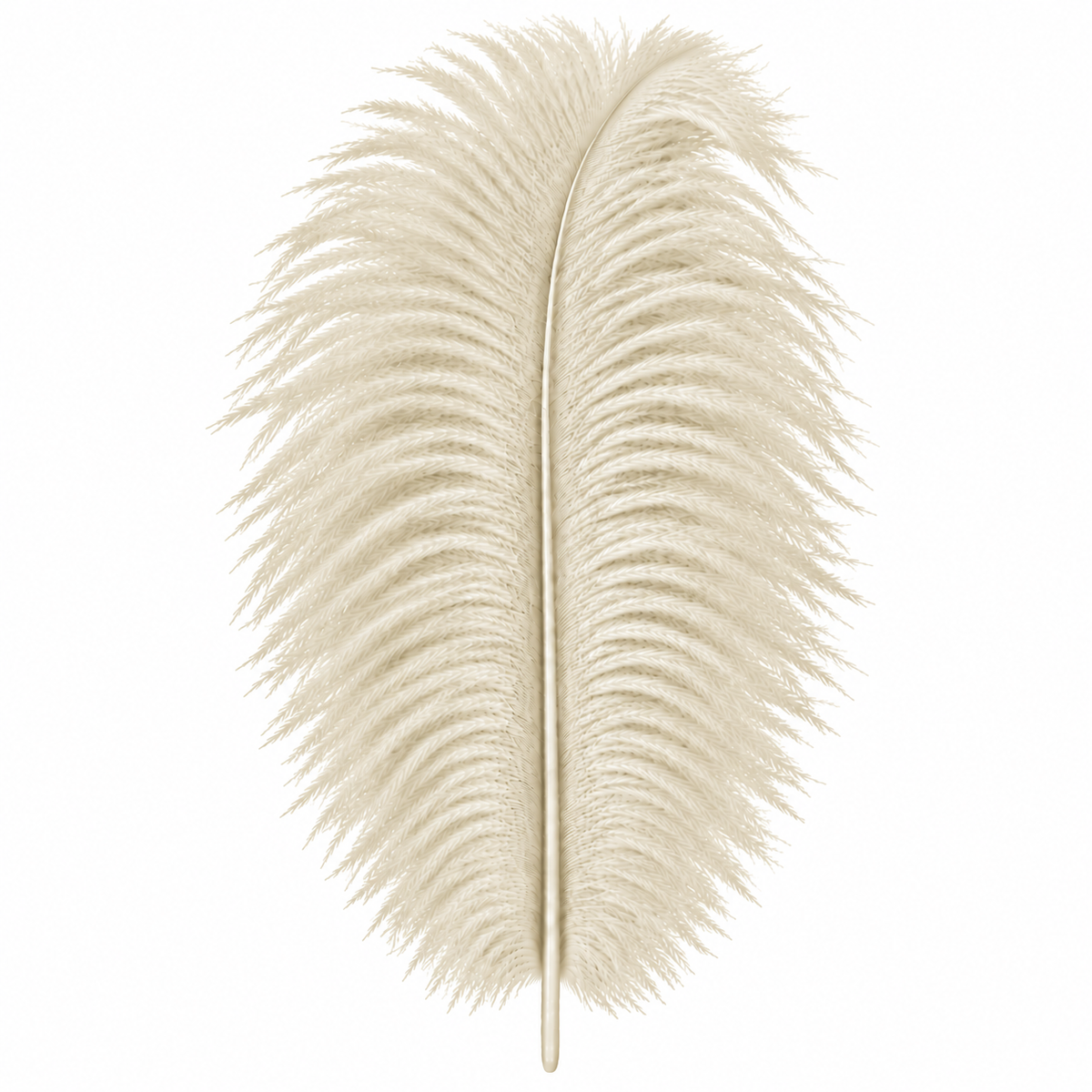 12-14 Inch Ostrich Feathers | 12 Pieces