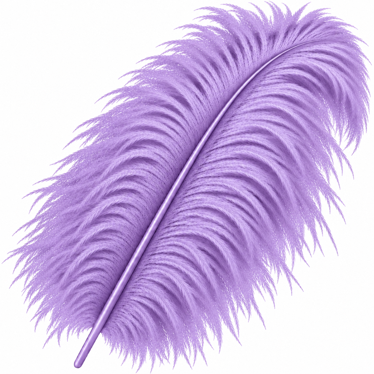 22-24 Inch Ostrich Feathers | 12 Pieces