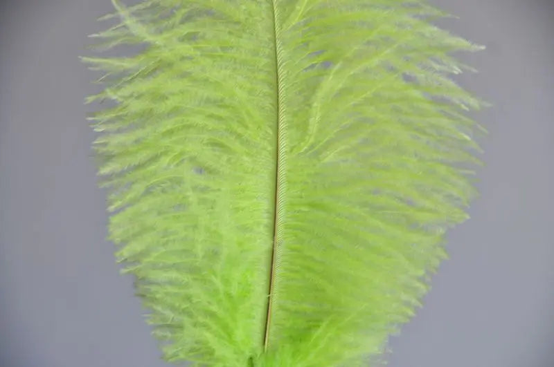 Turquoise 6-8 Inches Ostrich Feathers 100 Pieces