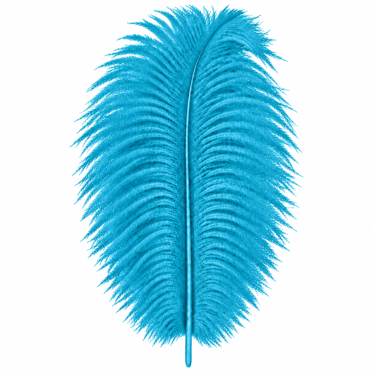 12-14 Inch Ostrich Feathers | 12 Pieces