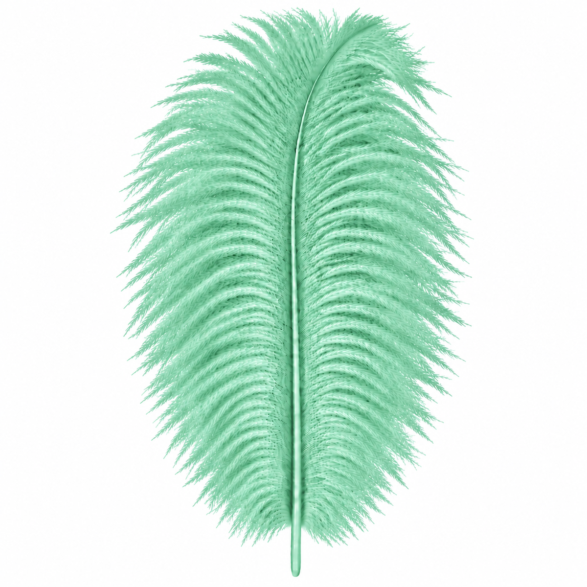 12-14 Inch Ostrich Feathers | 12 Pieces