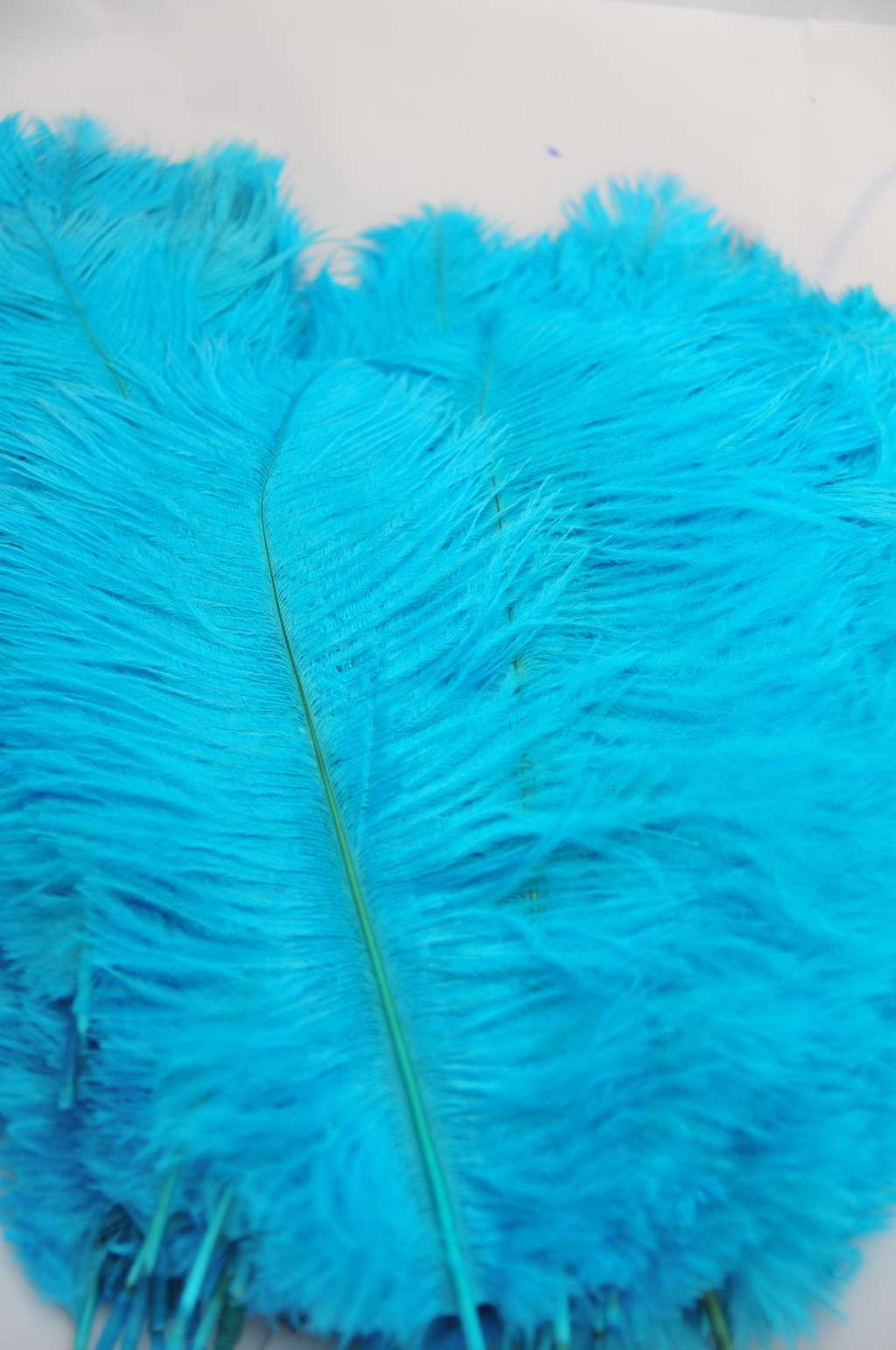 Sky Blue Ostrich Feathers 24-26 Inches