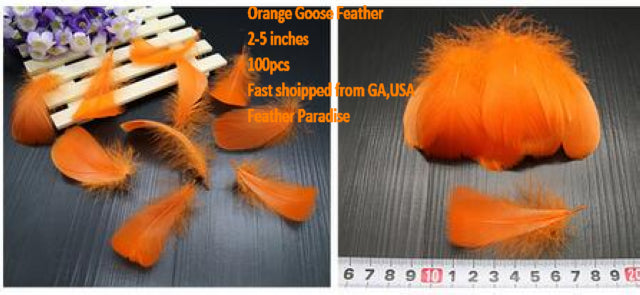 Buy 100pcs Goose Nagorie Loose Feather Fillers – 3.3–6" Feather Confetti for Crafts, DIY Projects, Fly Tying & Decorations FeatherParadise.com