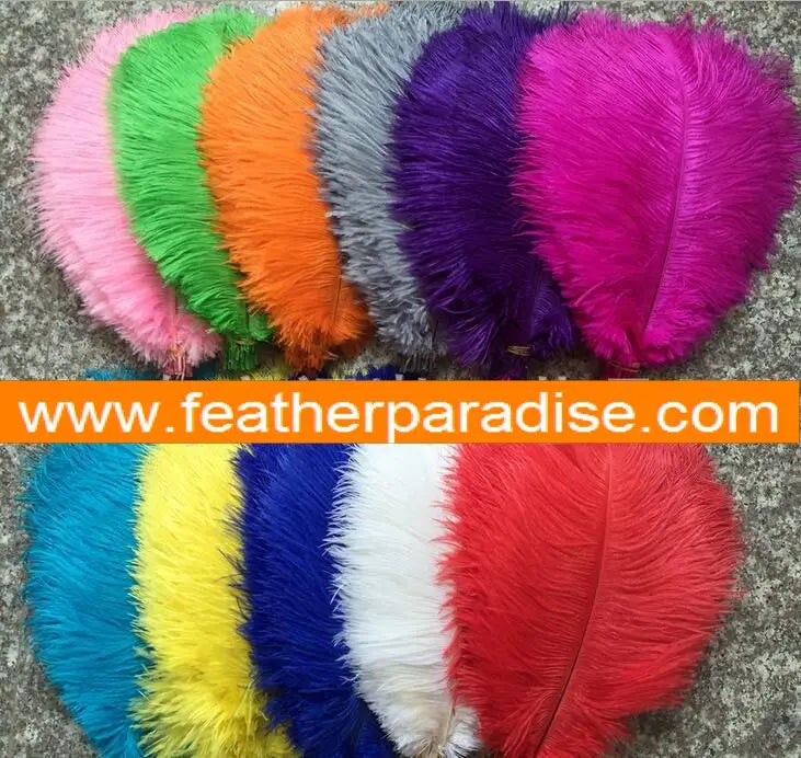 6–8 Inch Ostrich Feathers | 100 Pieces FeatherParadise.com