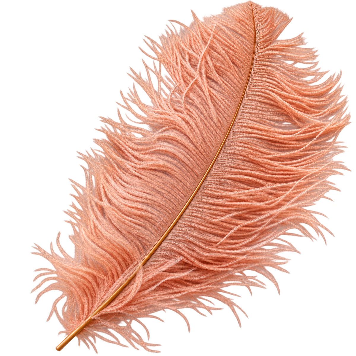 22-24 Inch Ostrich Feathers | 12 Pieces