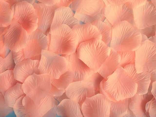 Silk Rose Petals Confetti - 200 Pieces