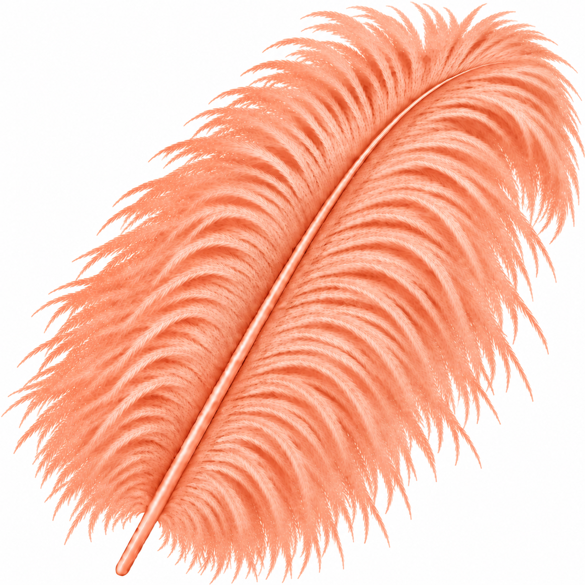 22-24 Inch Ostrich Feathers | 12 Pieces