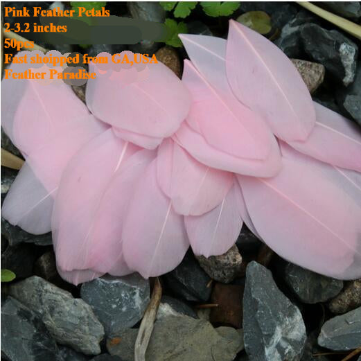 100 Pieces Goose Feather Petals Confetti FeatherParadise.com