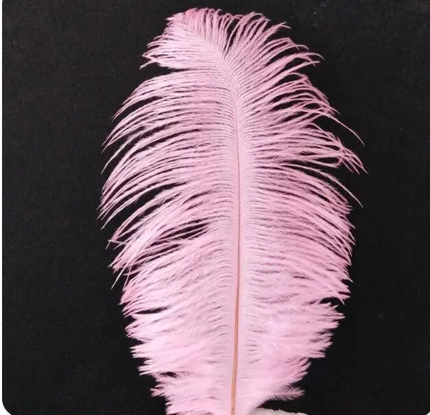 Red 6-8 Inches Ostrich Feathers 100 Pieces