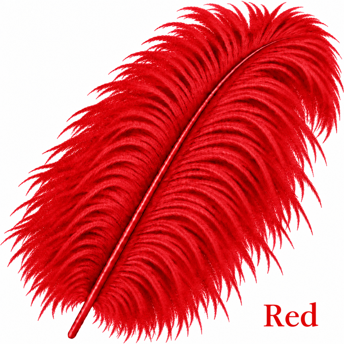 22-24 Inch Ostrich Feathers | 12 Pieces