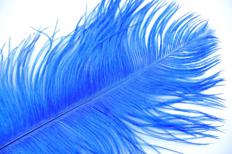 Pink Ostrich Feathers 16-18 Inches