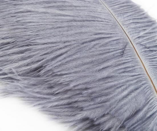 8-10 Inch Ostrich Feathers | 100 Pieces FeatherParadise.com