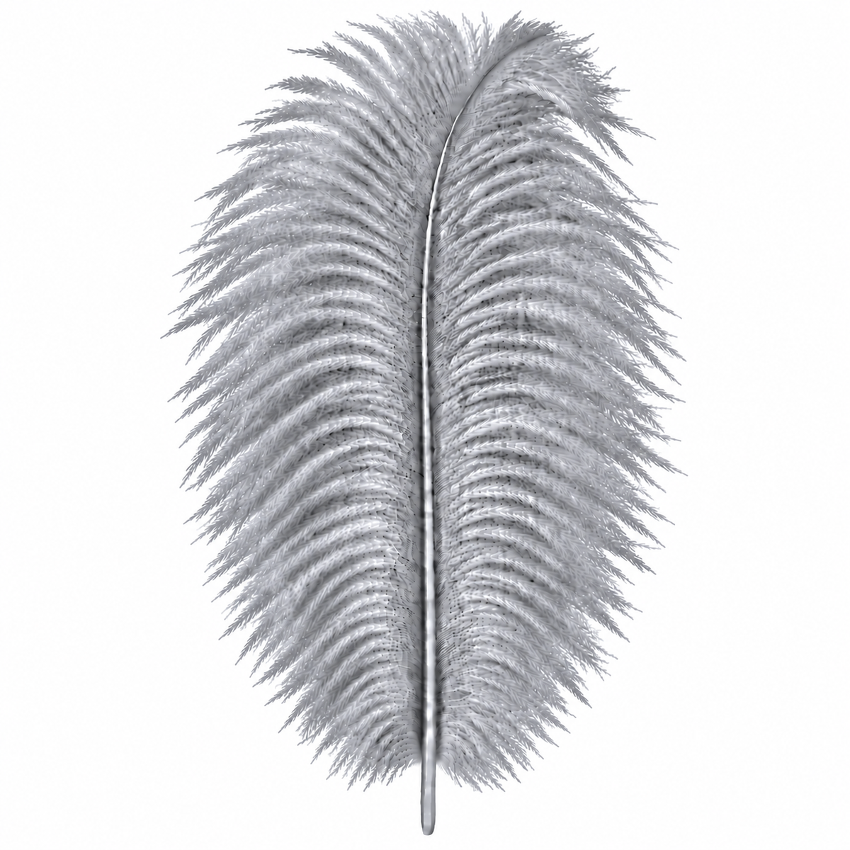 12-14 Inch Ostrich Feathers | 12 Pieces