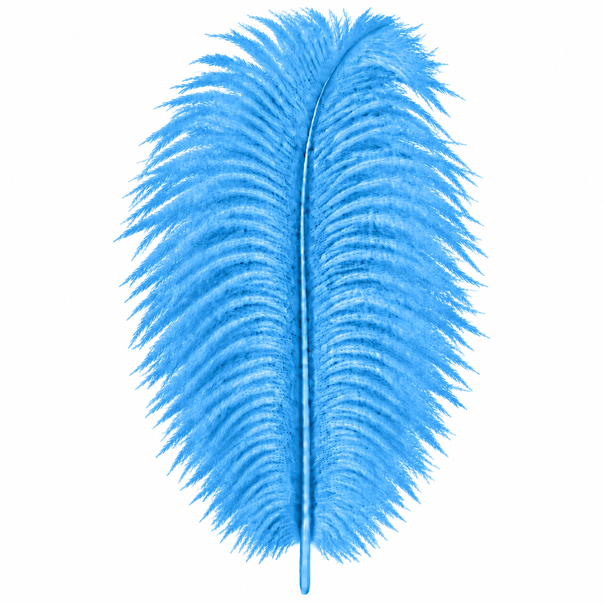 12-14 Inch Ostrich Feathers | 12 Pieces