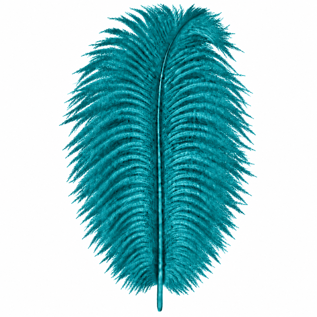 12-14 Inch Ostrich Feathers | 12 Pieces