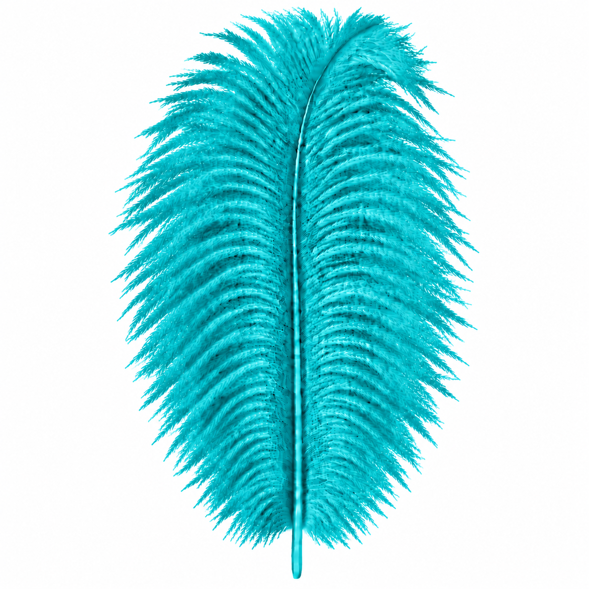 12-14 Inch Ostrich Feathers | 12 Pieces