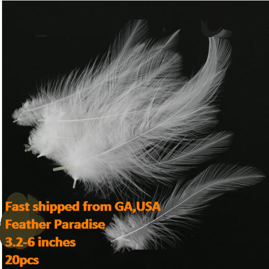 Buy Dyed Loose Rooster Hackle Feathers – 20pcs per Bag (3.3–6") FeatherParadise.com