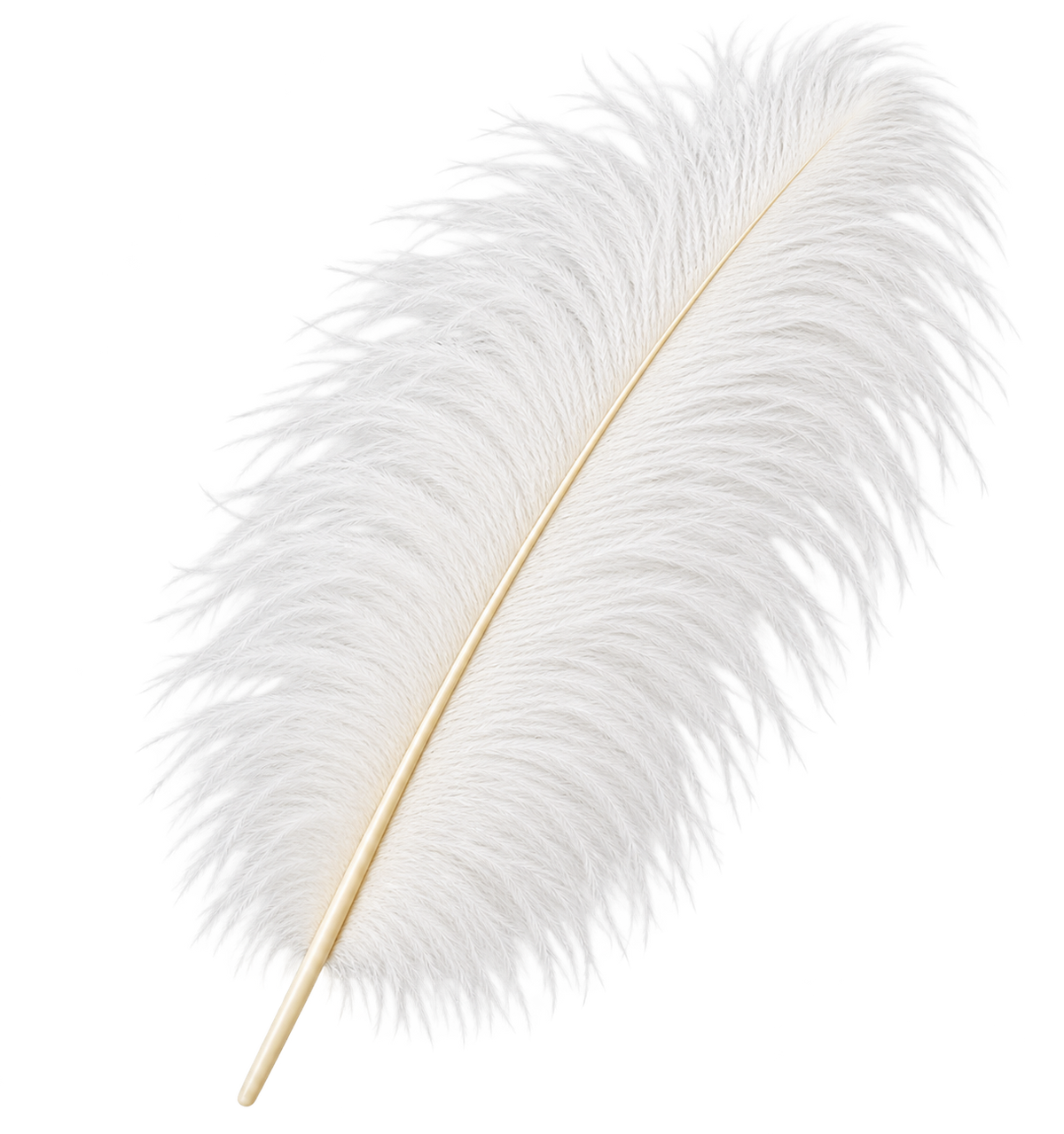 28-30 Inches Ostrich Feathers 12 Pieces