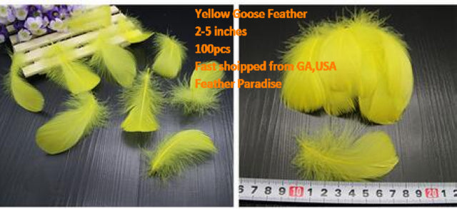 Buy 100pcs Goose Nagorie Loose Feather Fillers – 3.3–6" Feather Confetti for Crafts, DIY Projects, Fly Tying & Decorations FeatherParadise.com
