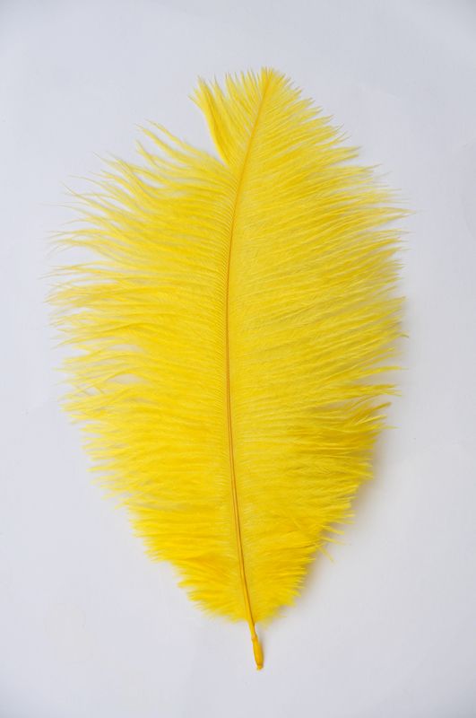 Yellow Ostrich Feathers 22-24 Inches