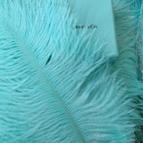 Brown Ostrich Feathers 16-18 Inches