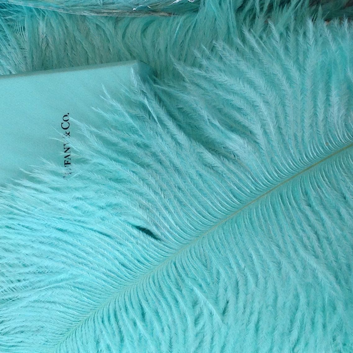 Brown Ostrich Feathers 26-28 Inches