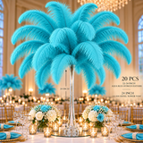 22-24 Inch Ostrich Feathers | 12 Pieces
