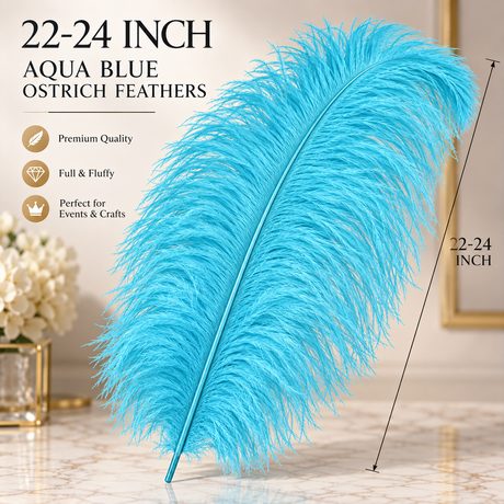 22-24 Inch Ostrich Feathers | 12 Pieces