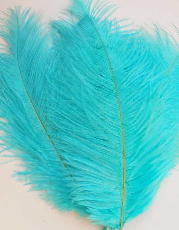 8-10 Inch Ostrich Feathers | 12 Pieces