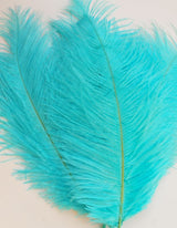 Lime Green Ostrich Feathers 16-18 Inches
