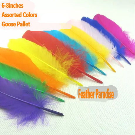 20 Pieces Goose Pallet Feathers FeatherParadise.com