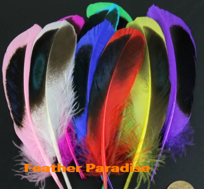 100 Pieces Dyed Duck Coque Feathers for Crafts & Decor FeatherParadise.com