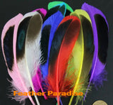 100 Pieces Dyed Duck Coque Feathers for Crafts & Decor FeatherParadise.com