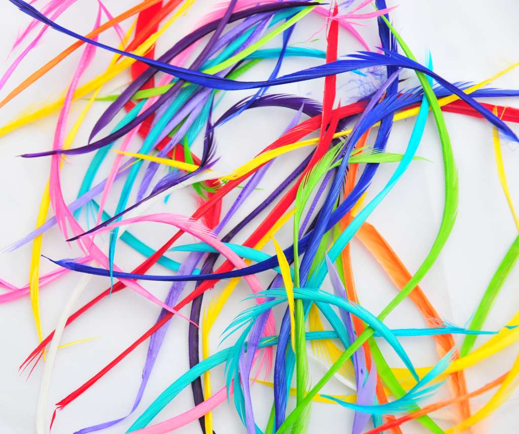 Dyed Biots Goose Package Assorted Colors 7 Grams Per Bag