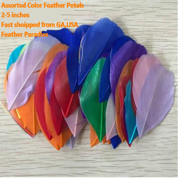 100 Pieces Goose Feather Petals Confetti FeatherParadise.com