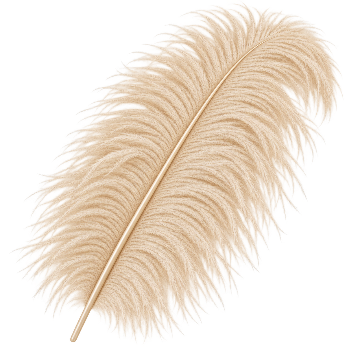 22-24 Inch Ostrich Feathers | 12 Pieces